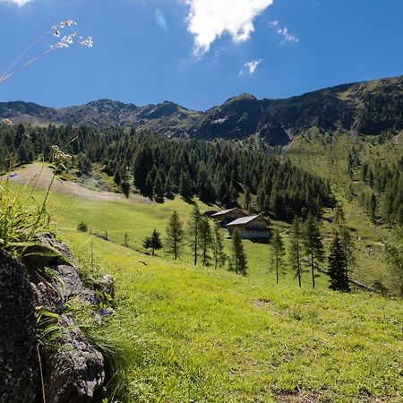 Feldererhof Apt Almenblick Santa Maddalena Exterior photo