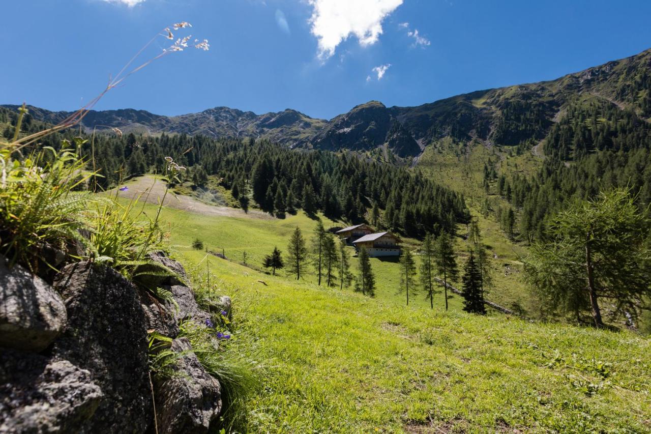 Feldererhof Apt Almenblick Santa Maddalena Exterior photo