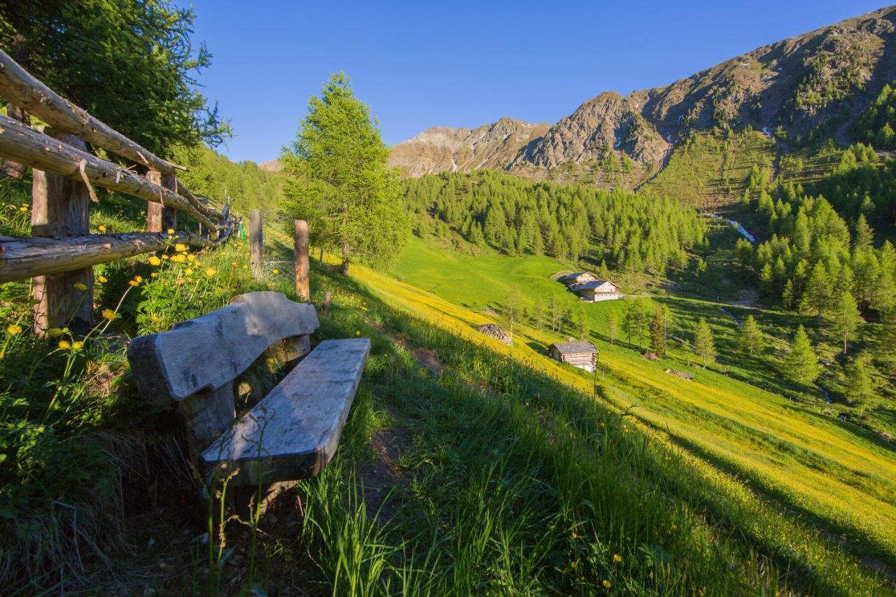 Feldererhof Apt Almenblick Santa Maddalena Exterior photo